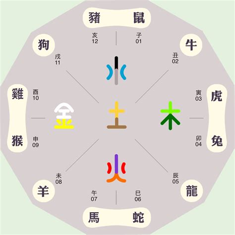 紫字五行|紫的五行属性是什么